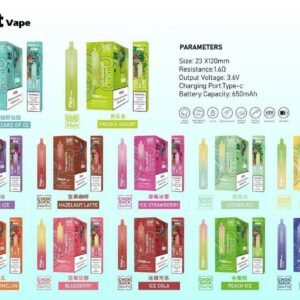 Pilot vape 6000puffs 飛行員拋棄式電子煙官網
